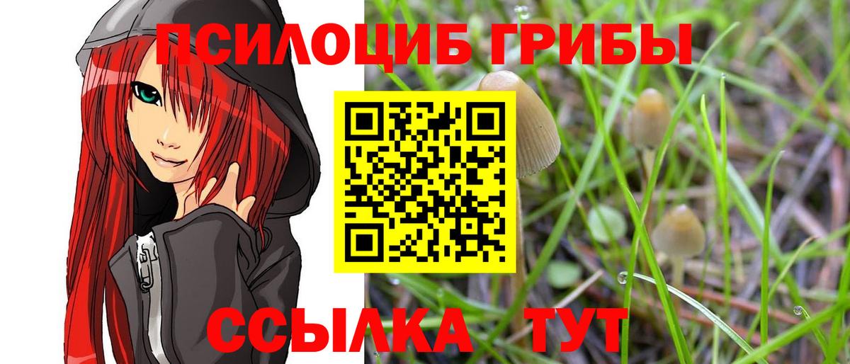 Галлюциногенные грибы GOLDEN TEACHER Краснодар